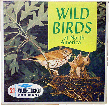 Wild Birds of North America Sawyers Packet B611 S6