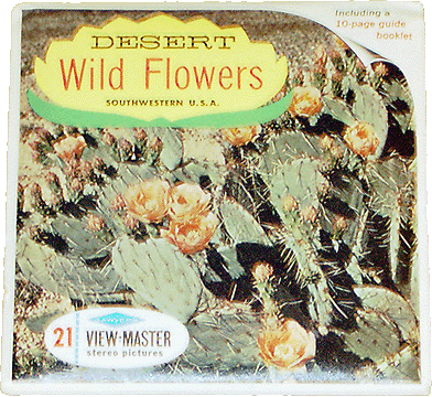 Desert Wild Flowers, Southwestern USA Sawyers Packet B629 S6