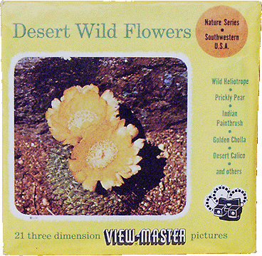 Desert Wild Flowers Sawyers Packet 985-A-B-C S3