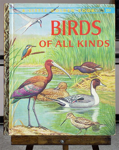 Birds of All Kinds