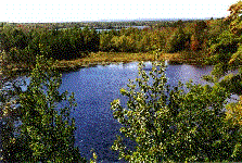 Rifle River